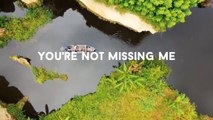 Chelsea Cutler - YOU'RE NOT MISSING ME (Lyrics / Lyric Video)_Amazing Nature