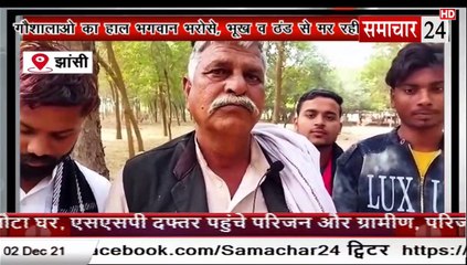 Jhansi: गौशालाओं का हाल भगवान भरोसे, भूख और ठंड से मर रही गाय