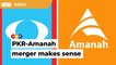PKR-Amanah merger could help PH attract rural Malay votes, says analyst