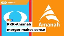 PKR-Amanah merger could help PH attract rural Malay votes, says analyst