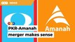 PKR-Amanah merger could help PH attract rural Malay votes, says analyst