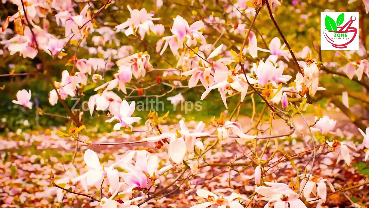 Khali Pait Kela Subha Is Terha Khao -Kala Se Mardana Kamzori Ka Elaj - Nafs Ko Lamba Karny Ka Tarika