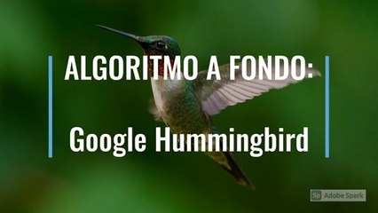 ⚡ ALGORITMO A FONDO: Google HUMMINGBIRD