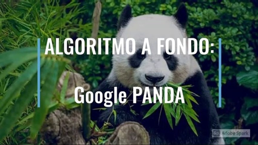 ⚡ ALGORITMO A FONDO: Google PANDA