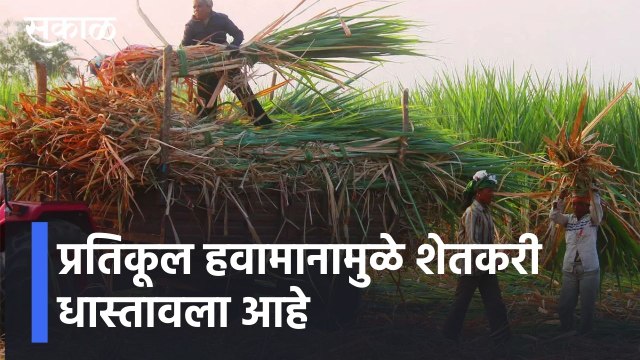 Kolhapur l जिल्ह्यात अवकाळीने दैना, जनजीवन विस्कळीत l Kolhapur Rains l Sakal