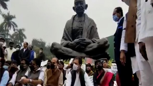 Rahul Gandhi joins protest along other Opposition MPs