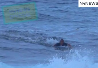 Surfers Menaced by Huge Shark Make Mad Dash For the Shore in Dramatic Footage