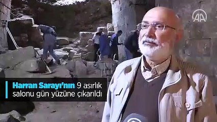 Harran Sarayı'nın 9 asırlık salonu gün yüzüne çıkarıldı