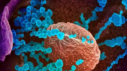 How Contagious is Omicron? All you need to know