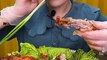 Yummy ASMR Chinese Mukbang Eating Spicy Braised Pork Belly, Pork Leg , Pork Ribs #7