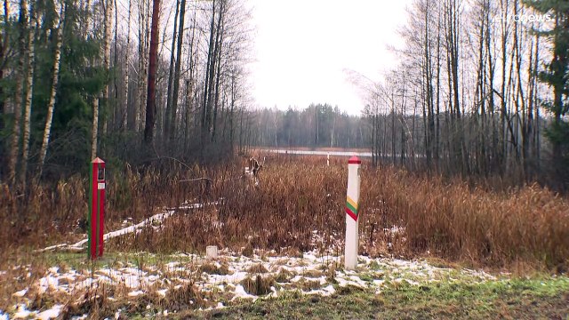 Литва продлит режим ЧП на границах, теперь и с Польшей