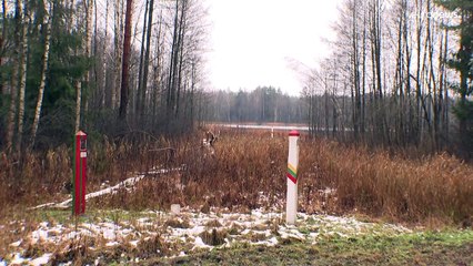 Литва продлит режим ЧП на границах, теперь и с Польшей
