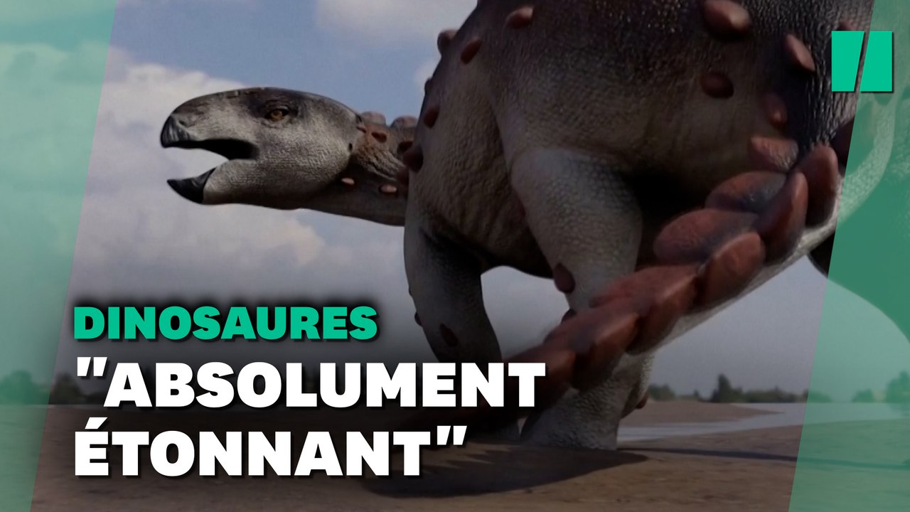 La queue de ce nouveau dinosaure est unique