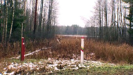 Frontière avec le Bélarus : la Lituanie veut prolonger l'état d'urgence