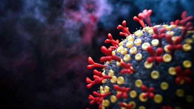 Omicron variant cases reported in India