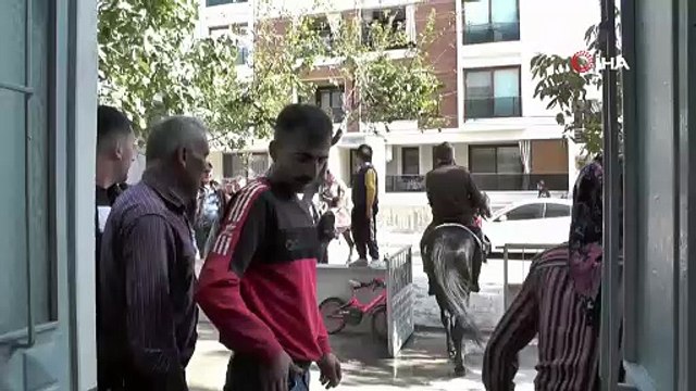 Atıyla apartman dairesine çıktı, balkonda poz verdi!