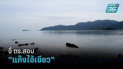 จี้ ตร.สอบ"แก๊งไอ้เขียว"ออกโฉนดฮุบเกาะนุ้ย | เข้มข่าวค่ำ