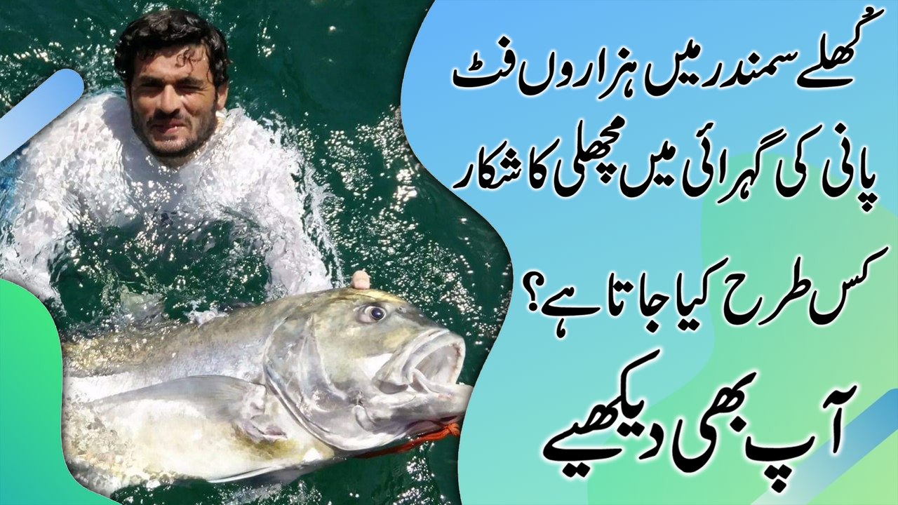 Khulay samandar mei hazaro feet pani ki gehrai mei machli ka shikar kis trah kia jata hai? Aap b dekhiye