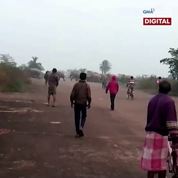 Elephant herd, tumawid sa highway sa India | GMA News Feed