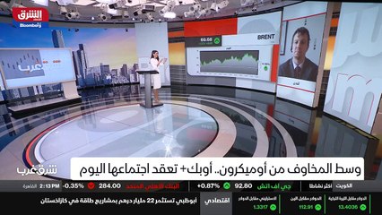 ...من الصحيح القول ان اوبك ليست مجموعة منسج...