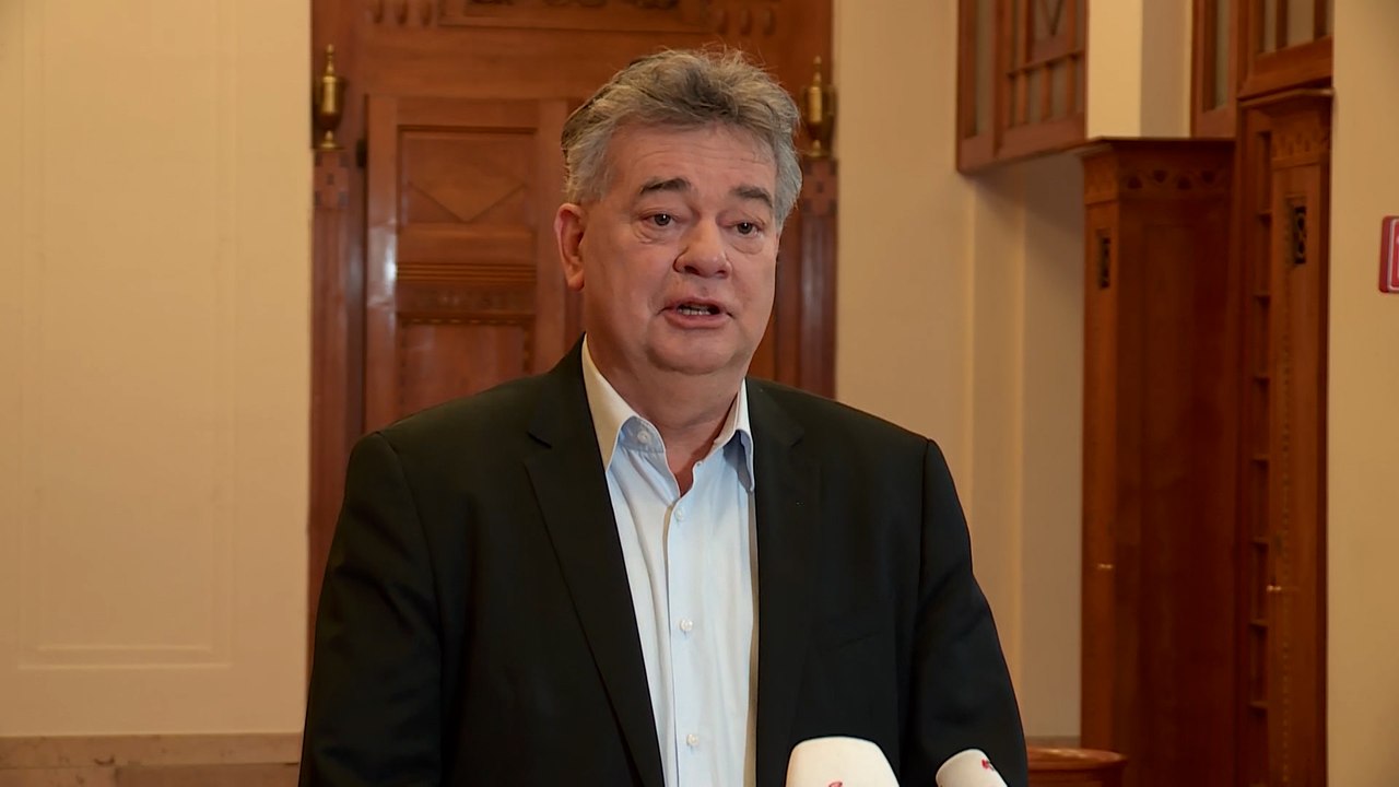 Statement von Werner Kogler zu Kurz-Rücktritt