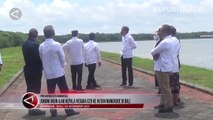 Jokowi Ingin Ajak Kepala Negara G20 ke Hutan Mangrove Bali