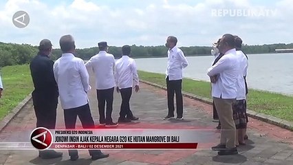 Jokowi Ingin Ajak Kepala Negara G20 ke Hutan Mangrove Bali