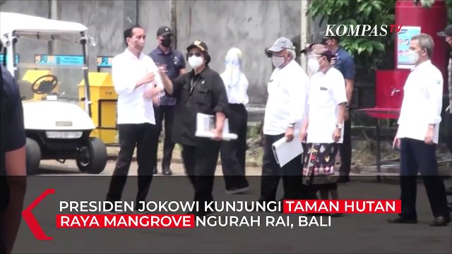 Jokowi Tinjau Hutan Mangrove di Bali: Kita Serius Hadapi Perubahan Iklim