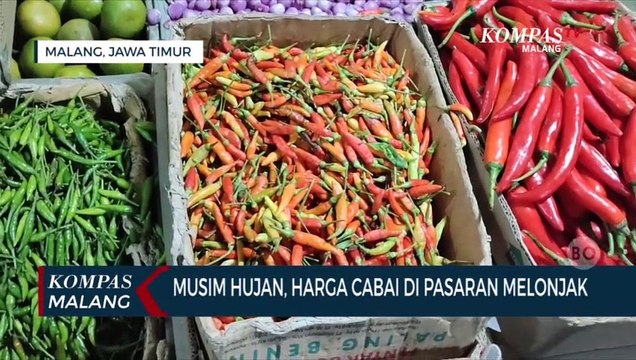 Musim Hujan, Harga Cabai di Pasar Tradisional Meroket