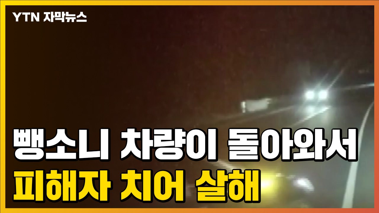 [자막뉴스] 음주 뺑소니 후 다시 피해자 치어 살해...기막힌 가해자의 변명 / YTN