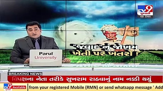 Rabi crops damaged by unseasonal rain in Botad, farmers hopeful of govt assistance_ TV9News