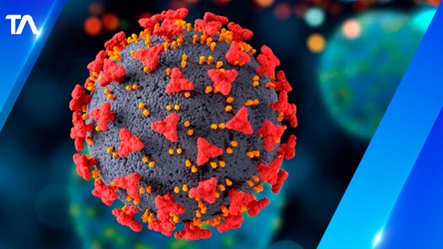 Variante ómicron sería más contagiosa