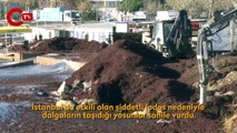 Caddebostan Sahili kızıla büründü