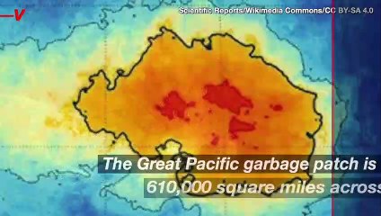 The Great Pacific Garbage Patch is Becoming Home to New Creatures and It Could Spell Disaster for the Ecosystem