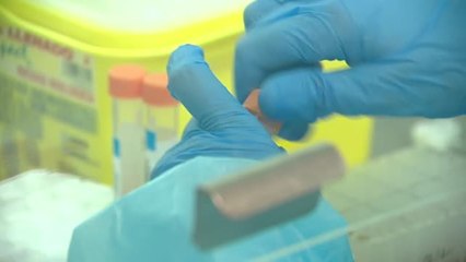 Así se confirma en el laboratorio la variante ómicron