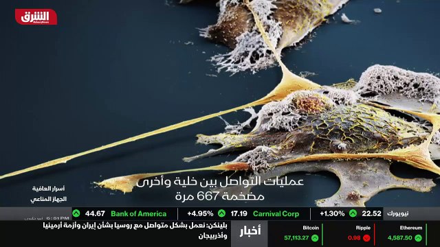 ...من المؤكد أنه يجب أن يكون هناك نوع من ال...