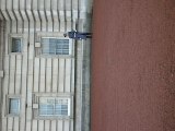 Garde de Buckingham Palace in London part 2