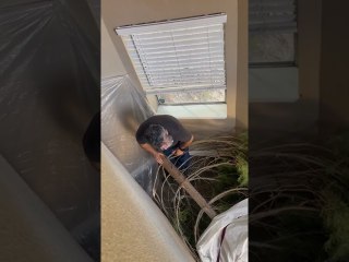 Real Life Griswold Family Christmas