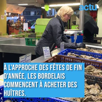 Les huîtres seront plus chères à Noël , affirme un ostréiculteur du Bassin d'Arcachon