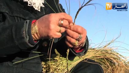 الجلفة: أنامل "زهرة" تجعل من الحلفاء أشكال فنية مبهرة في صناعة السلال