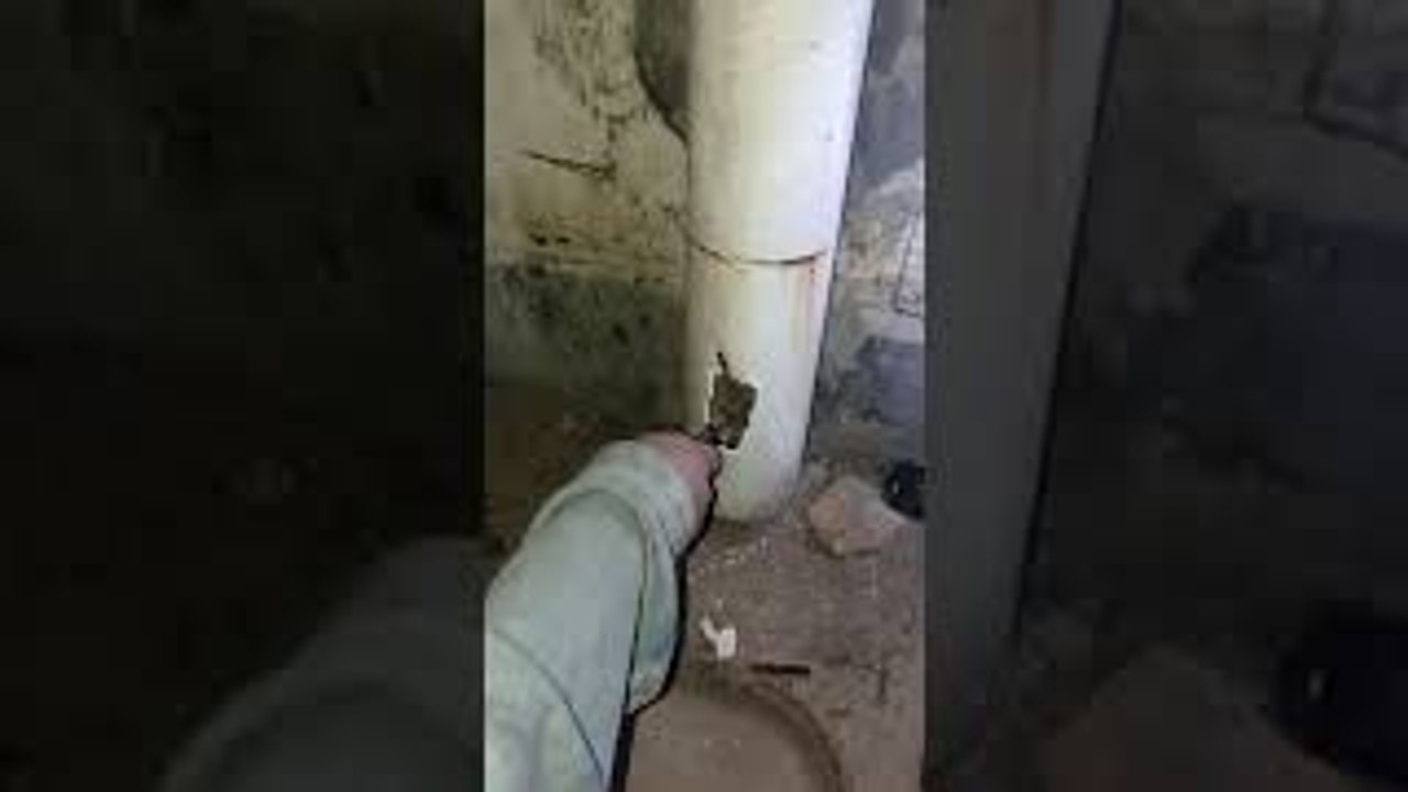 Saving a Kitten From a Drain Pipe