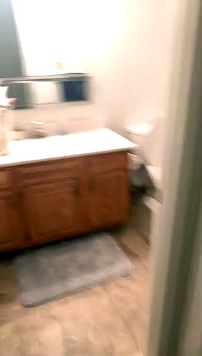 Spoiled Cat Drinks From Sink