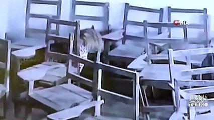 Leopar sınıfa daldı
