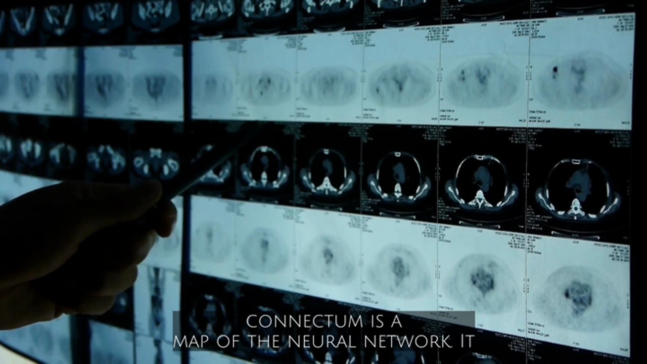 Your Brain Has a Fingerprint