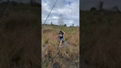 Woman Rescues Kitten Stuck in Weeds
