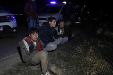 Son dakika haberi: Kaçak göçmen taşıyan minibüs polisten kaçarken pamuk tarlasına devrildi