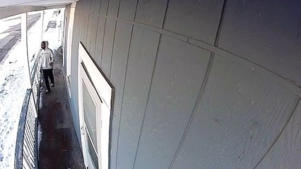 Security Camera Captures Wild Scenes Over