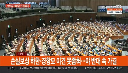 607.7조 '슈퍼예산' 국회 본회의 통과…자영업자 지원 확대