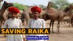 Raika traditions are Disappearing in Rajasthan | The Kumbhalgarh Camel Story | Oneindia News