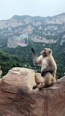 New Comedy Video | Hilarious and Entertaining